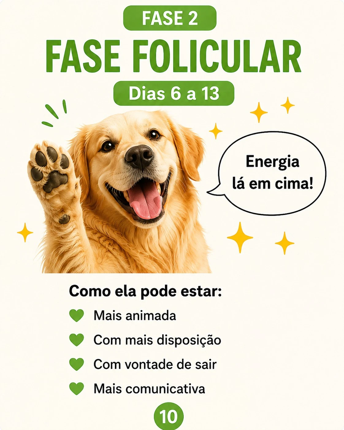 Fase folicular como ela pode estar